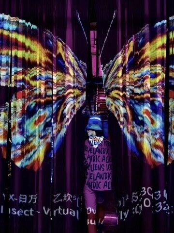 A visitor framed by a projected pair of butterfly wings