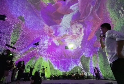 An organic, floral projection filling a domed room