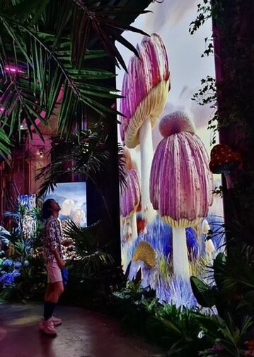 A visitor beside a projected forest of giant mushrooms
